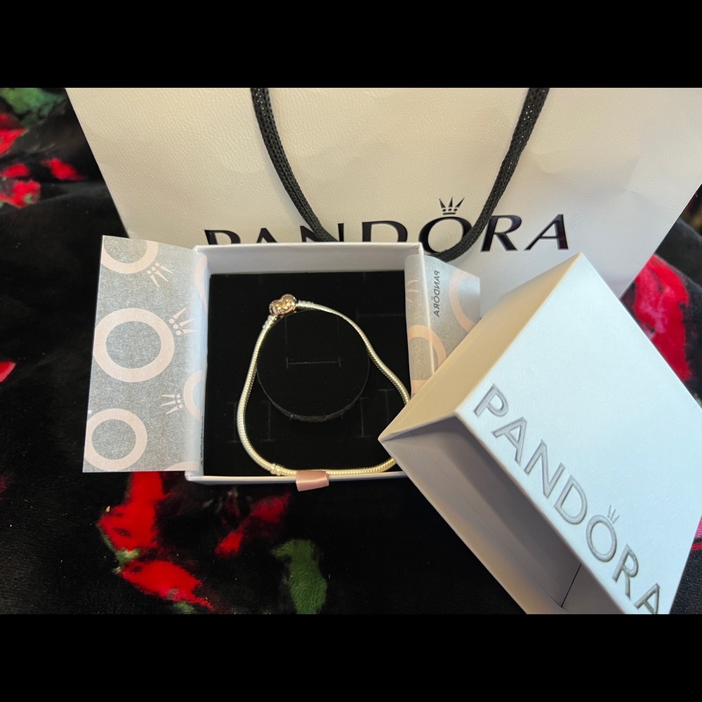 Brand New! Authentic Pandora Moments  Bracelet
